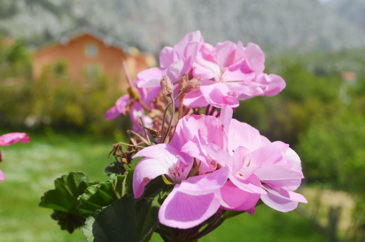 Villa Basic Blagaj Esterno foto